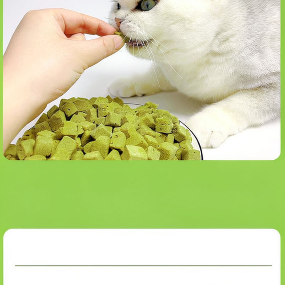 وجبات خفيفة طبيعية للقطط مجففة - مراجعة Healthy Snacks Food وسعره